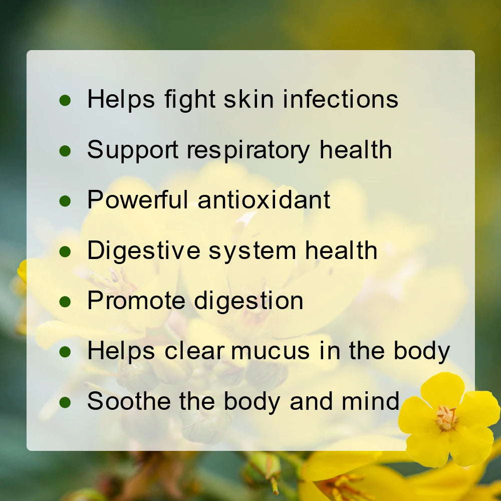 GPGP Greenpeople Herbal Mullein Leaf Tea Lung Cleansing Unobstructed Breathing Relieve Cough Detoxification Health Care